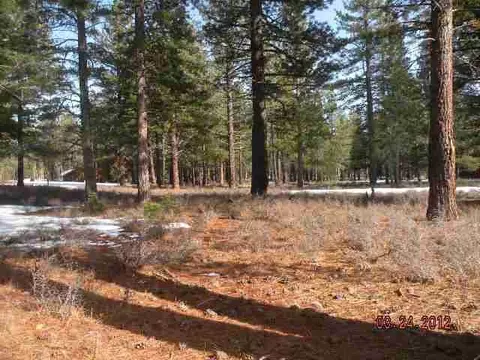 11741 Bottcher Loop, Truckee, CA 96161 photo 8