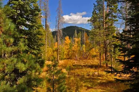 12957 Hillside Dr, Truckee, CA 96161 photo 1