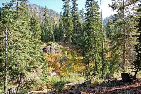 1919 Cub Ln, Alpine Meadows, CA 96146 photo 1