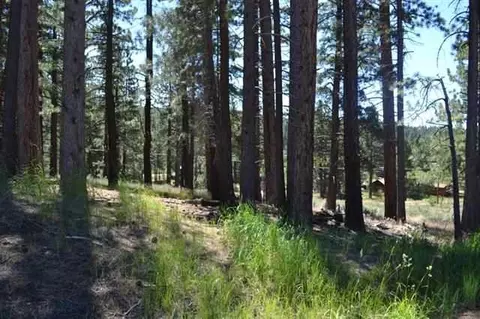 16394 Lance Dr, Truckee, CA 96161 photo 2
