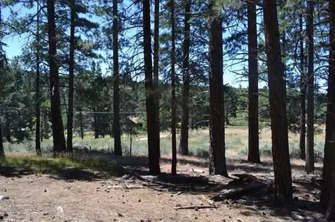 16394 Lance Dr, Truckee, CA 96161 photo 3