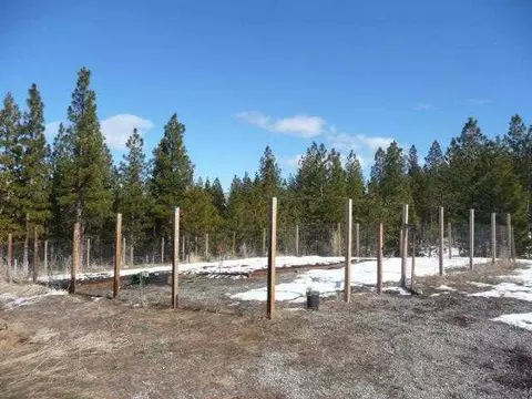 12 Moss Dr, Loyalton, CA 96118 photo 13