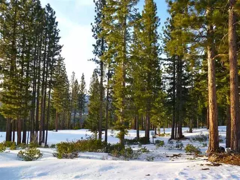 2368 Overlook Pl, Truckee, CA 96161 photo 3