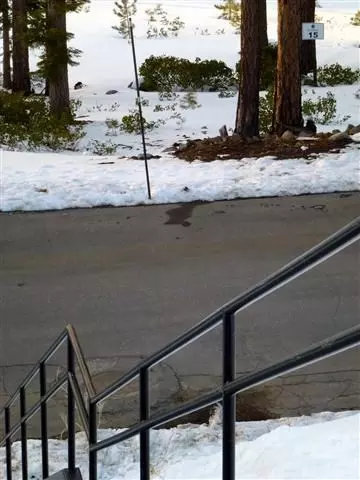 2368 Overlook Pl, Truckee, CA 96161 photo 14