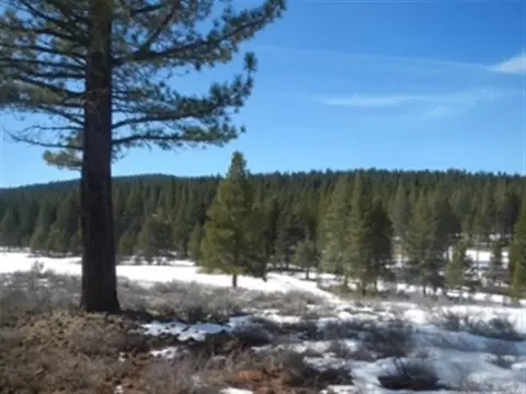 11110 Henness Rd, Truckee, CA 96161 photo 2