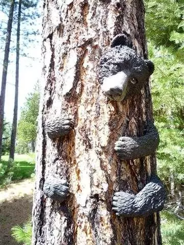 200 Black Bear Trl, Clio, CA 96106 photo 5