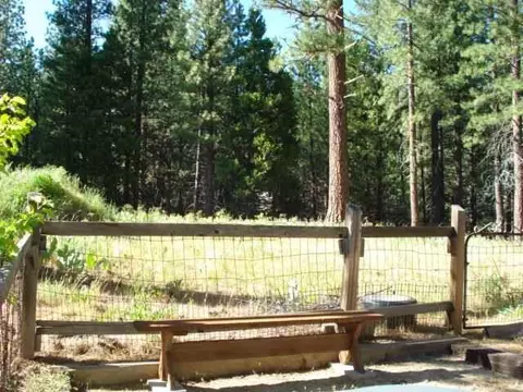 312 Coates Ave, Calpine, CA 96124 photo 12