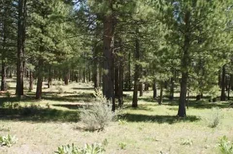 580 Red Tail Ct, Clio, CA 96106 photo 2