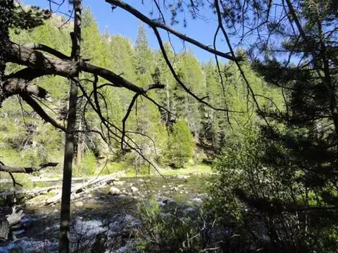 8040 River Rd, Truckee, CA 96161 photo 7