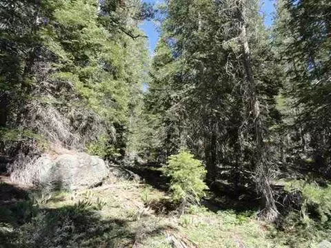 8040 River Rd, Truckee, CA 96161 photo 9