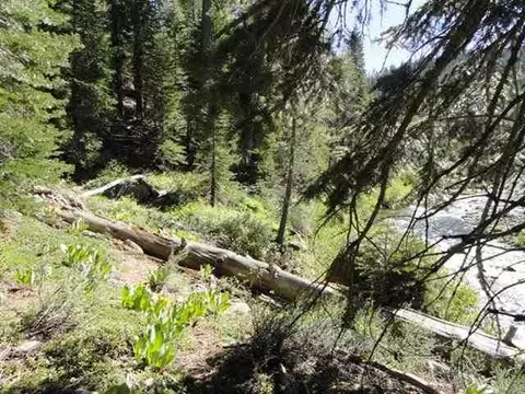 8040 River Rd, Truckee, CA 96161 photo 8