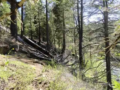 8040 River Rd, Truckee, CA 96161 photo 12