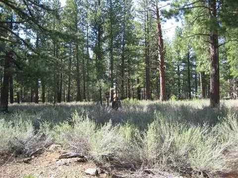 12836 Caleb Dr, Truckee, CA 96161 photo 2