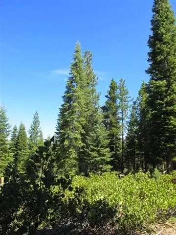 2755 Cross Cut Ct, Truckee, CA 96161 photo 4