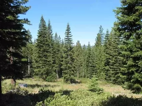 2755 Cross Cut Ct, Truckee, CA 96161 photo 2