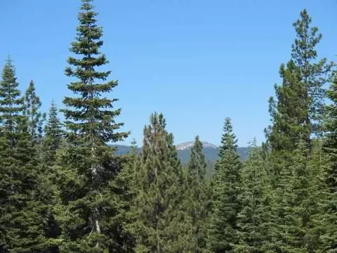 2755 Cross Cut Ct, Truckee, CA 96161 photo 3