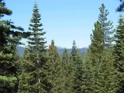 2755 Cross Cut Ct, Truckee, CA 96161 photo 1