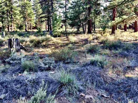 12469 Caleb Dr, Truckee, CA 96161 photo 1