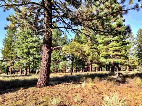 12469 Caleb Dr, Truckee, CA 96161 photo 2