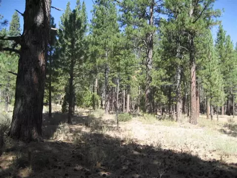 406 Main St, Calpine, CA 96124 photo 2