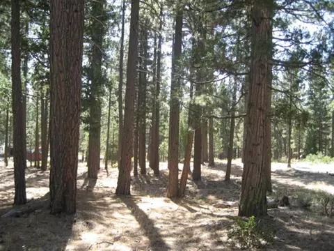 406 Main St, Calpine, CA 96124 photo 4