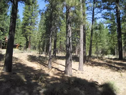 406 Main St, Calpine, CA 96124 photo 8