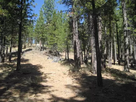 406 Main St, Calpine, CA 96124 photo 5