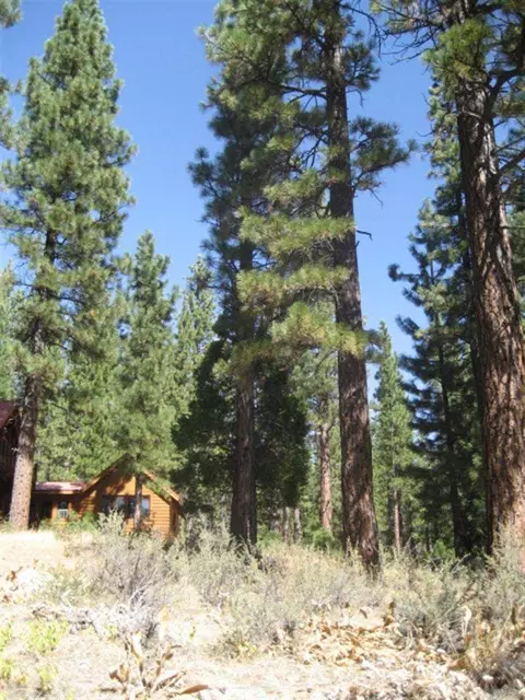 406 Main St, Calpine, CA 96124 photo 1