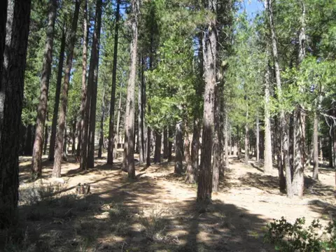 406 Main St, Calpine, CA 96124 photo 3