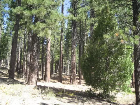 406 Main St, Calpine, CA 96124 photo 7