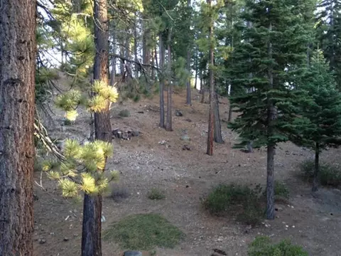 1613 Deer Path, Truckee, CA 96161 photo 8