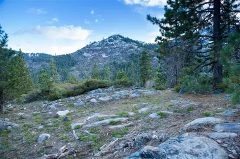 16641 Wolfe Dr, Truckee, CA 96161 photo 4
