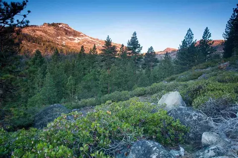 16641 Wolfe Dr, Truckee, CA 96161 photo 8