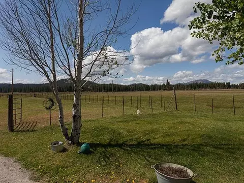 22240 Highway 89, Calpine, CA 96124 photo 13