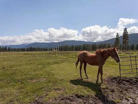 22240 Highway 89, Calpine, CA 96124 photo 9