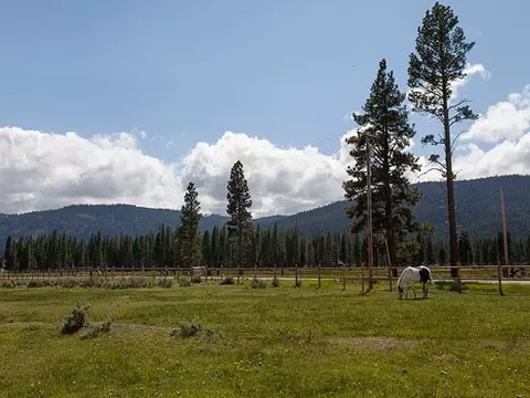 22240 Highway 89, Calpine, CA 96124 photo 5