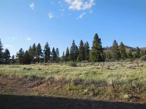 152 Smithneck Rd, Loyalton, CA 96118 photo 14