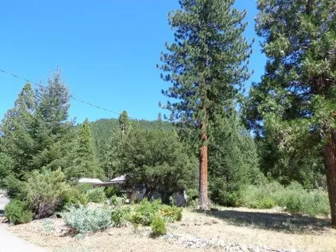59666 Forest Ln, Cromberg, CA 96103 photo 10