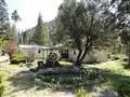 59666 Forest Ln, Cromberg, CA 96103 photo 11