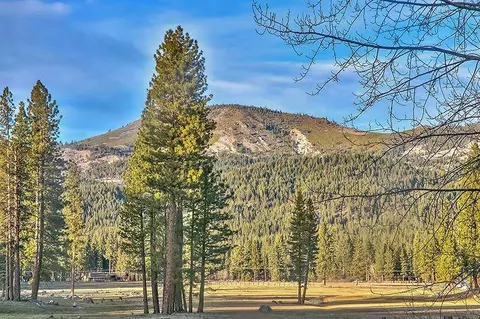 15 Navajo Trl, Graeagle, CA 96103 photo 14