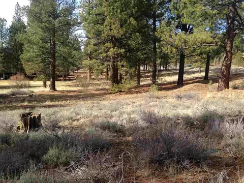 15700 Sherbourne Ct, Truckee, CA 96161 photo 6