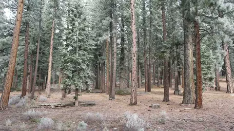 11570 Bottcher Loop, Truckee, CA 96161 photo 3
