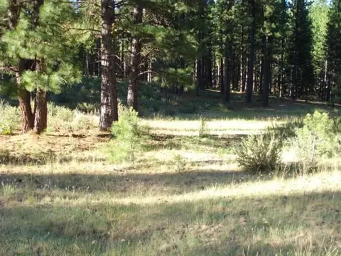 405 Main St, Calpine, CA 96124 photo 2