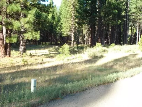 405 Main St, Calpine, CA 96124 photo 8