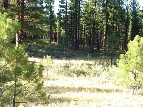 405 Main St, Calpine, CA 96124 photo 4