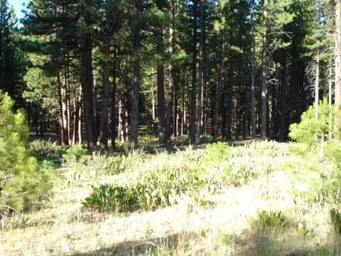 405 Main St, Calpine, CA 96124 photo 5