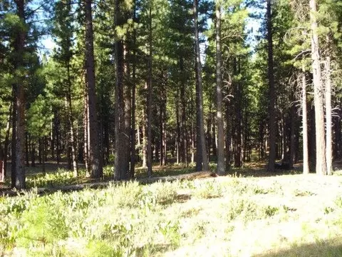 405 Main St, Calpine, CA 96124 photo 7
