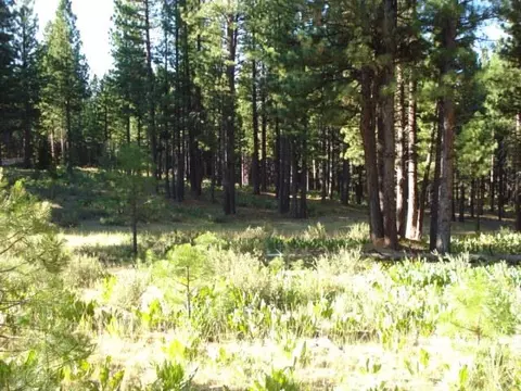 405 Main St, Calpine, CA 96124 photo 6