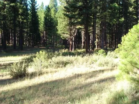 405 Main St, Calpine, CA 96124 photo 3