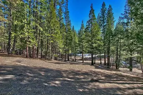 2233 Orchard Ridge Loop, Clio, CA 96106 photo 13